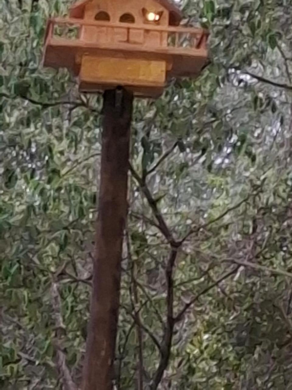 African Bush Escape Marloth Park Eksteriør billede