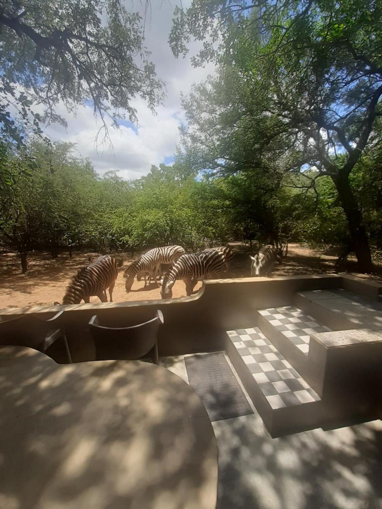 African Bush Escape Marloth Park Eksteriør billede