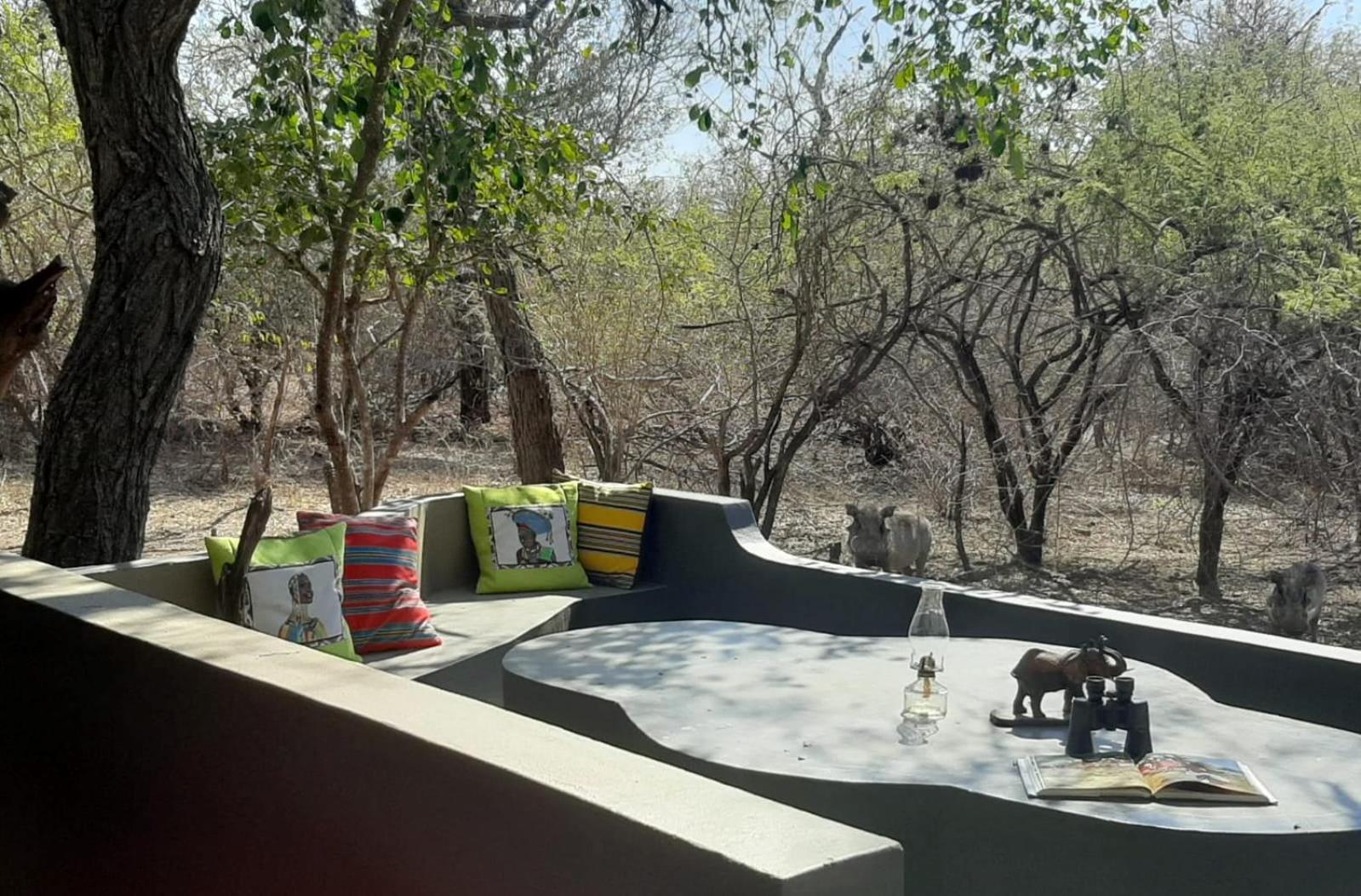 African Bush Escape Marloth Park Eksteriør billede